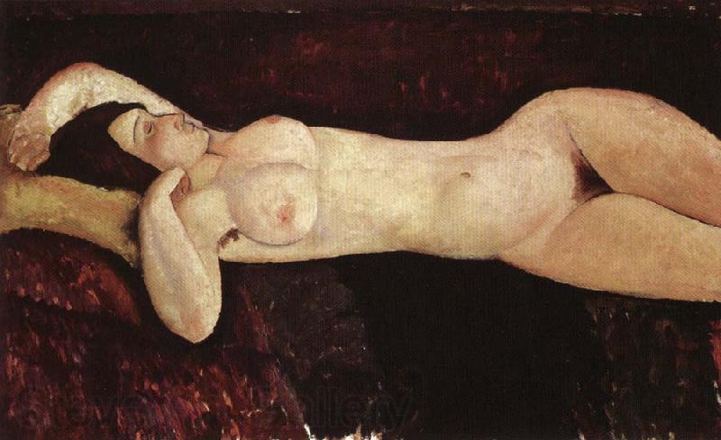 Amedeo Modigliani Reclining Nude Spain oil painting art
